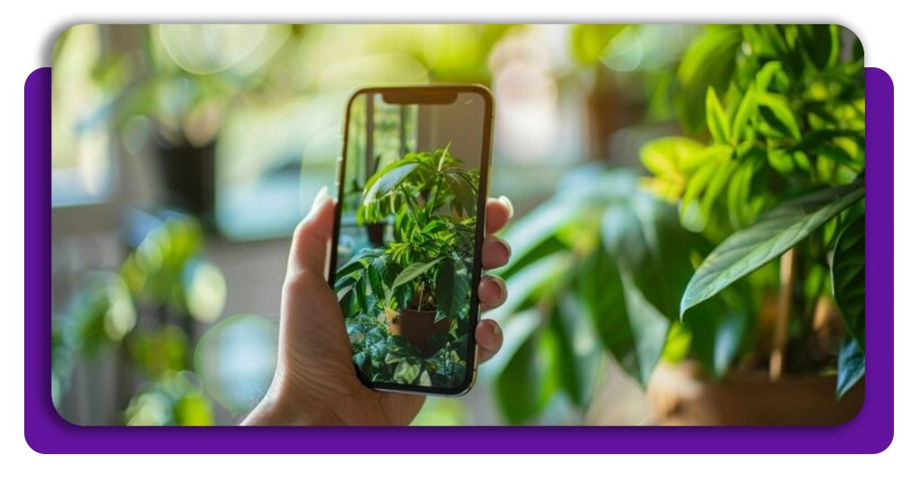 Saúde das plantas