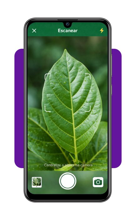 App para reconhecer plantas e como cuidar delas — Baixe agora! 3 Reconhecer plantas