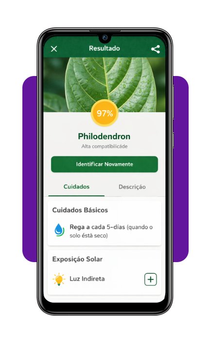 App para reconhecer plantas e como cuidar delas — Baixe agora! 4 Reconhecer plantas